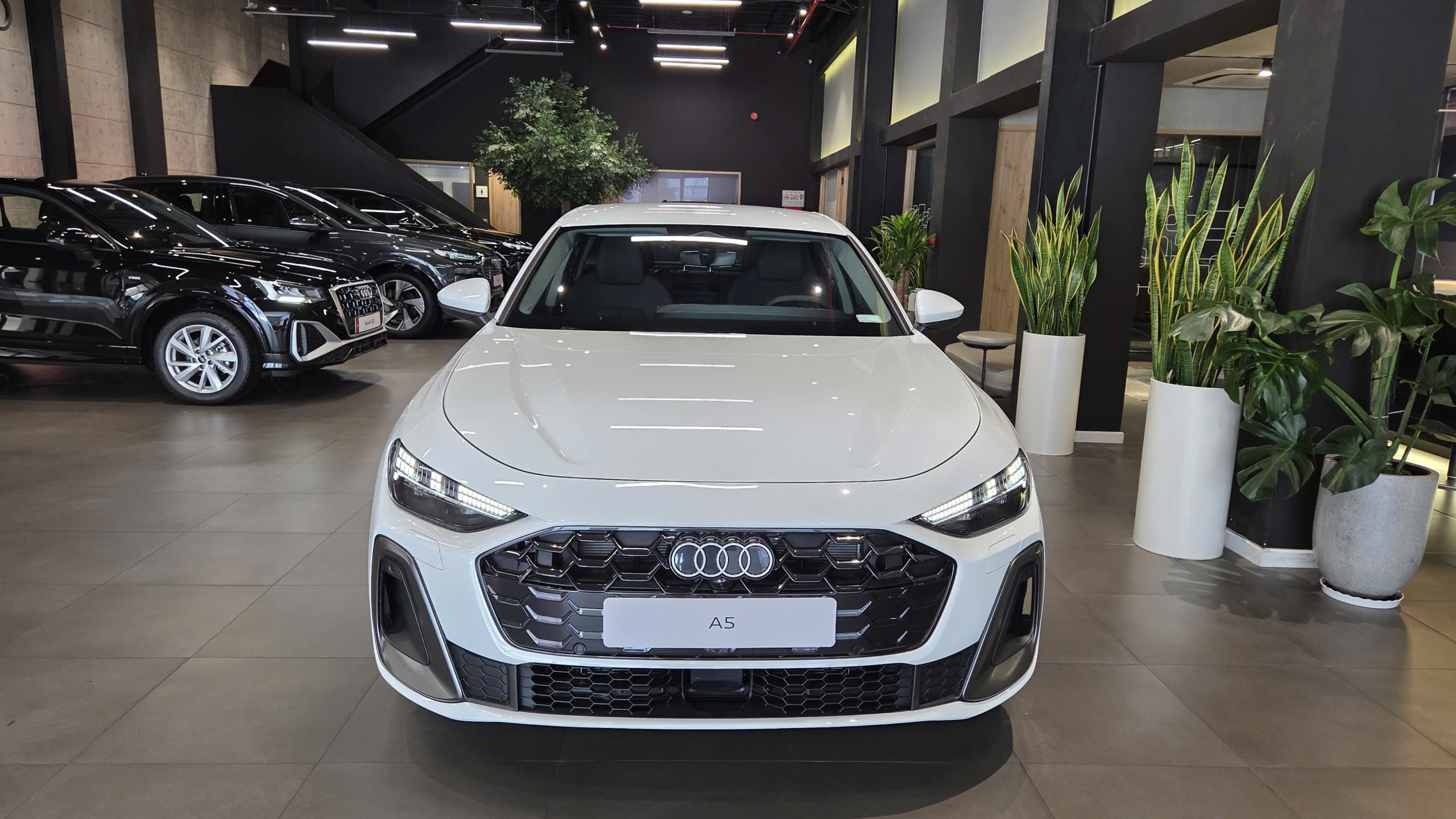 audi-a5-s-line-2026 audi-a5-s-line-2026