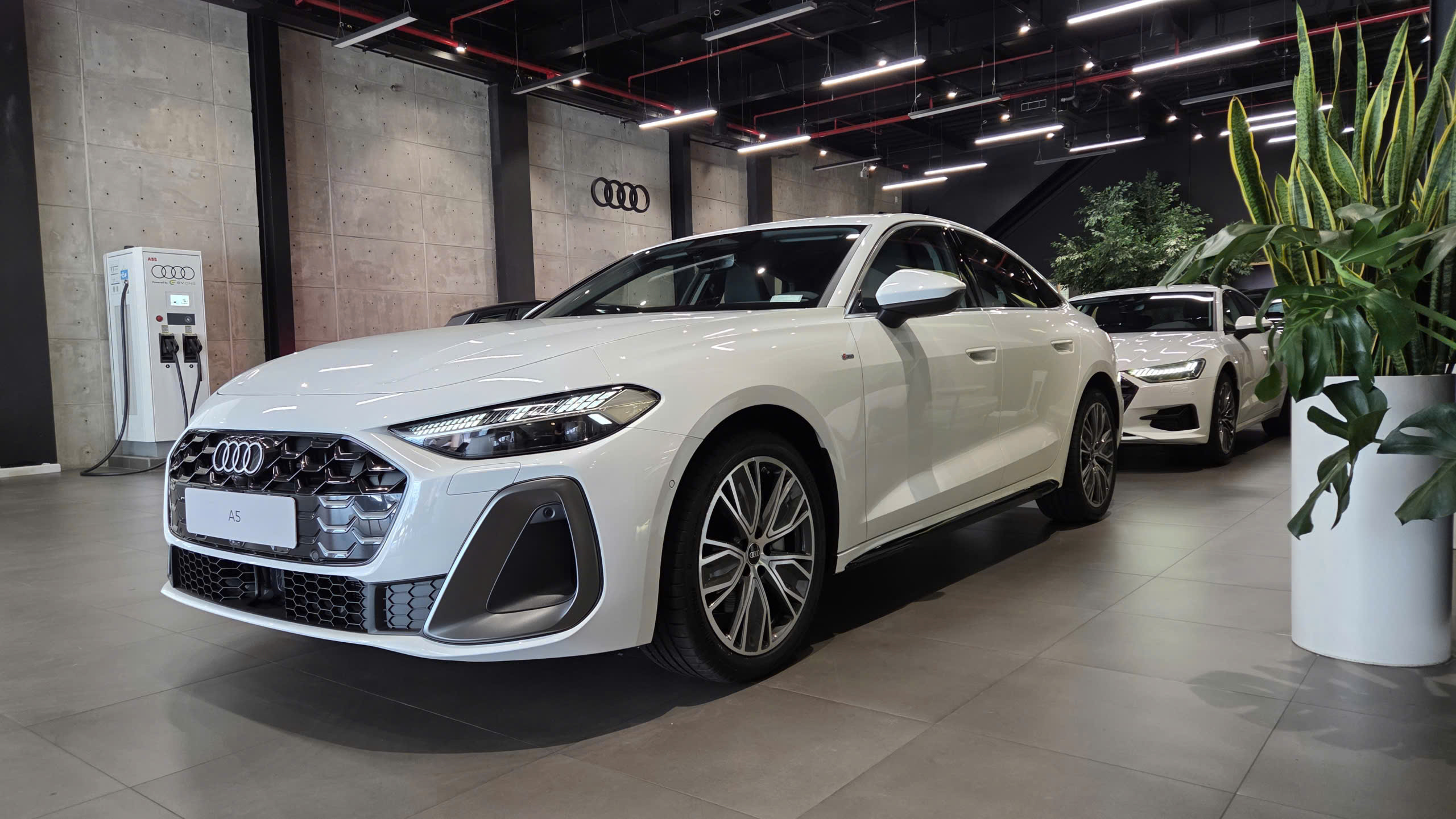 audi-a5-s-line-2026 audi-a5-s-line-2026